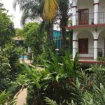 ceiba06