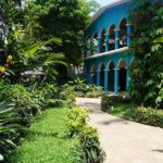 ceiba08